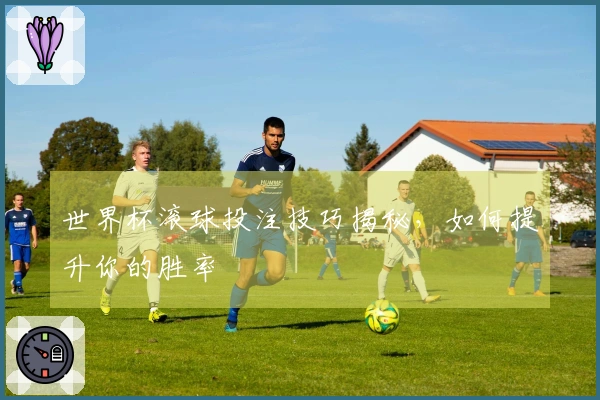 世界杯滚球投注技巧揭秘，如何提升你的胜率