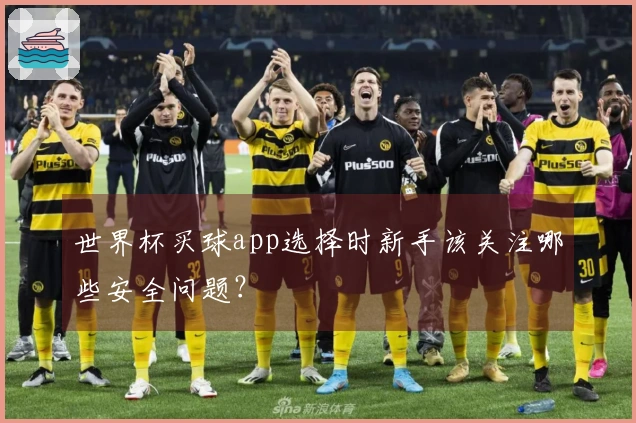 世界杯买球app选择时新手该关注哪些安全问题？