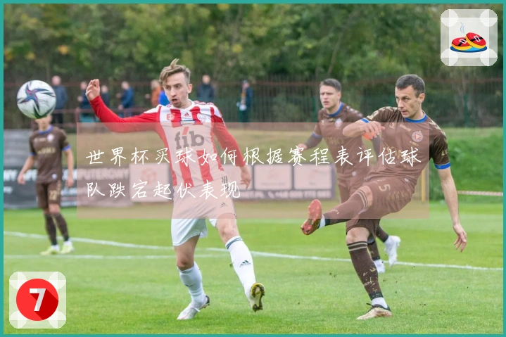 世界杯买球如何根据赛程表评估球队跌宕起伏表现