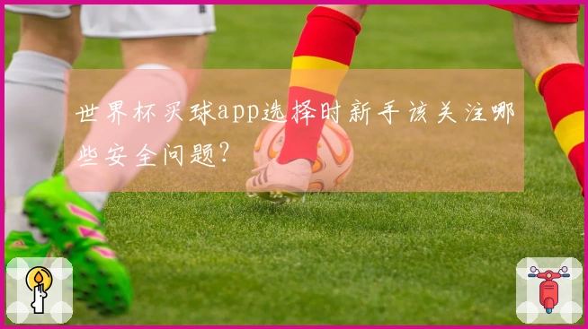 世界杯买球app选择时新手该关注哪些安全问题？