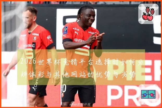 2026世界杯竞猜平台选择时如何分辨体彩与其他网站的优势与劣势